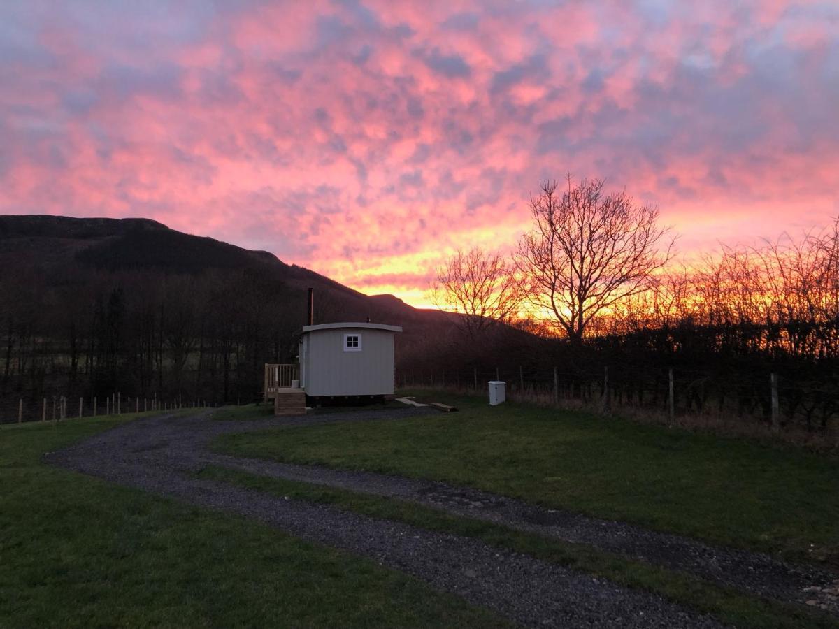Rosemary Shepherds Hut, Clay Bank Huts Ingleby Greenhow Exterior foto